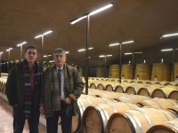 Valquejigoso, en busca de la máxima calidad del vino en Madrid