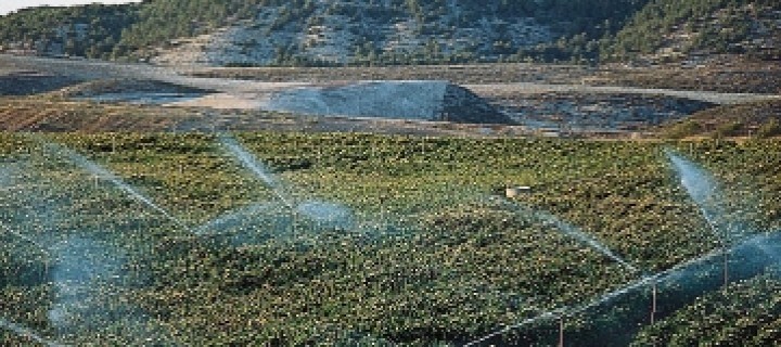 El Gobierno Foral de Navarra elevará un 40% las ayudas a jóvenes agricultores