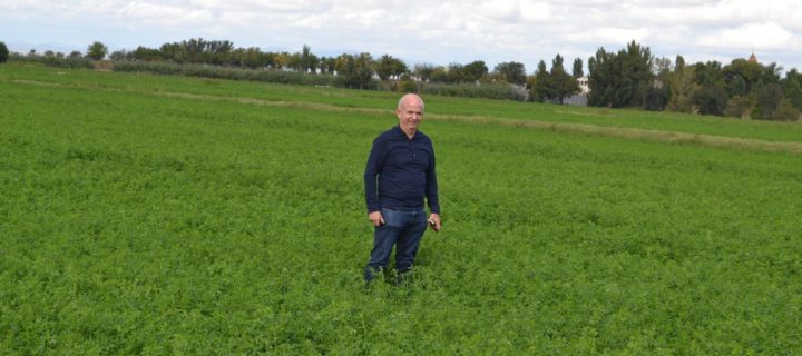 El cultivo de alfalfa, técnica y precisión para obtener rentabilidad