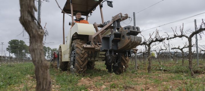 Familia Torres ensaya con un tractor eléctrico pionero en Europa para el viñedo