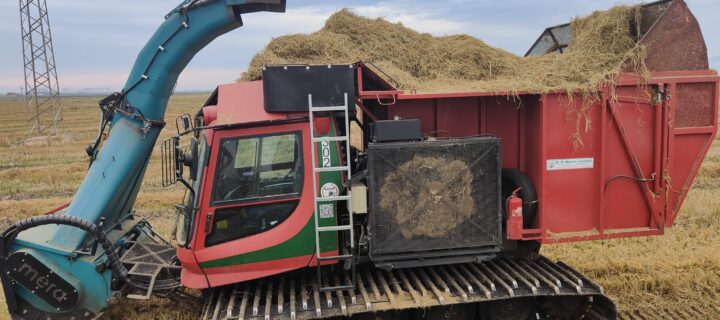 La Unió presenta una máquina quitanieves para separar la paja del arroz