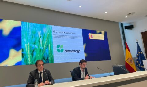 Climsostrigo: un proyecto para mejorar la sostenibilidad del cultivo de trigo