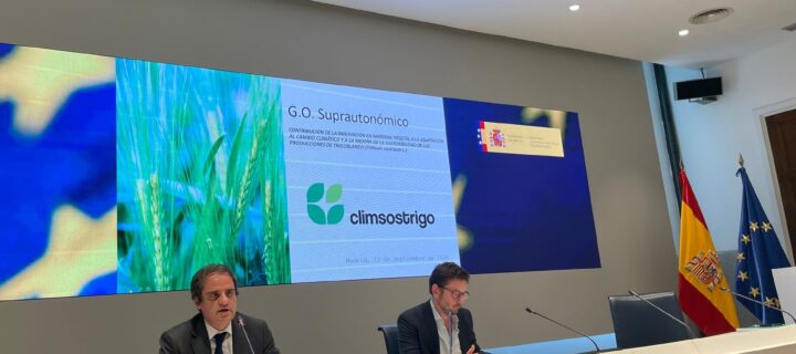 Climsostrigo: un proyecto para mejorar la sostenibilidad del cultivo de trigo